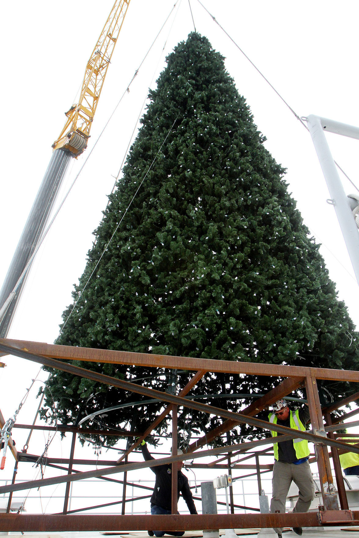 112015-kone-tree-009
